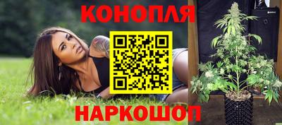 шишки Партизанск