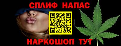 шишки Партизанск