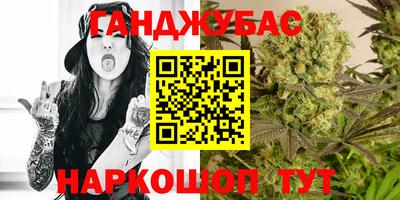 шишки Партизанск